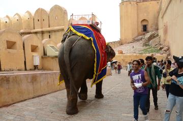 View details about Temples of Jaipur