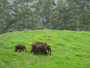 View details about Kerala - God's Own country