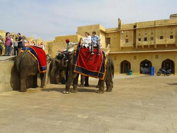 View details about Jaipur day trip